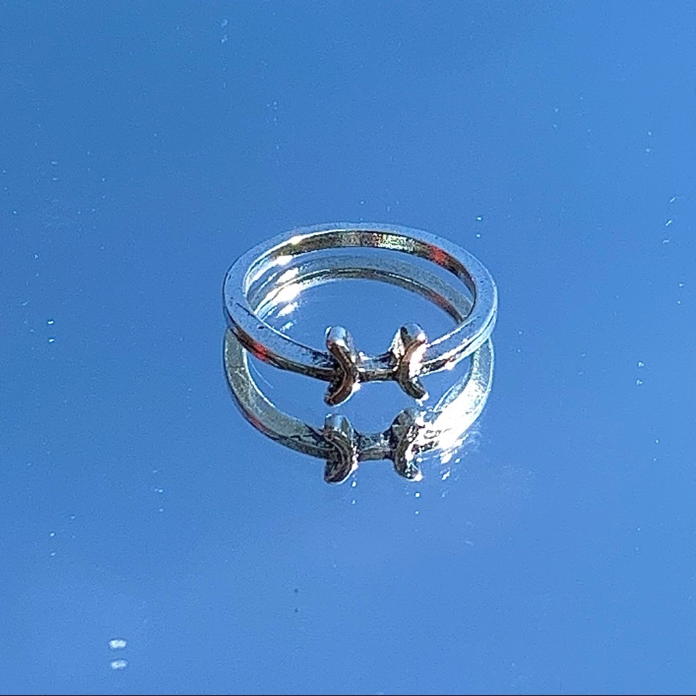 pisces zodiac ring ♓️